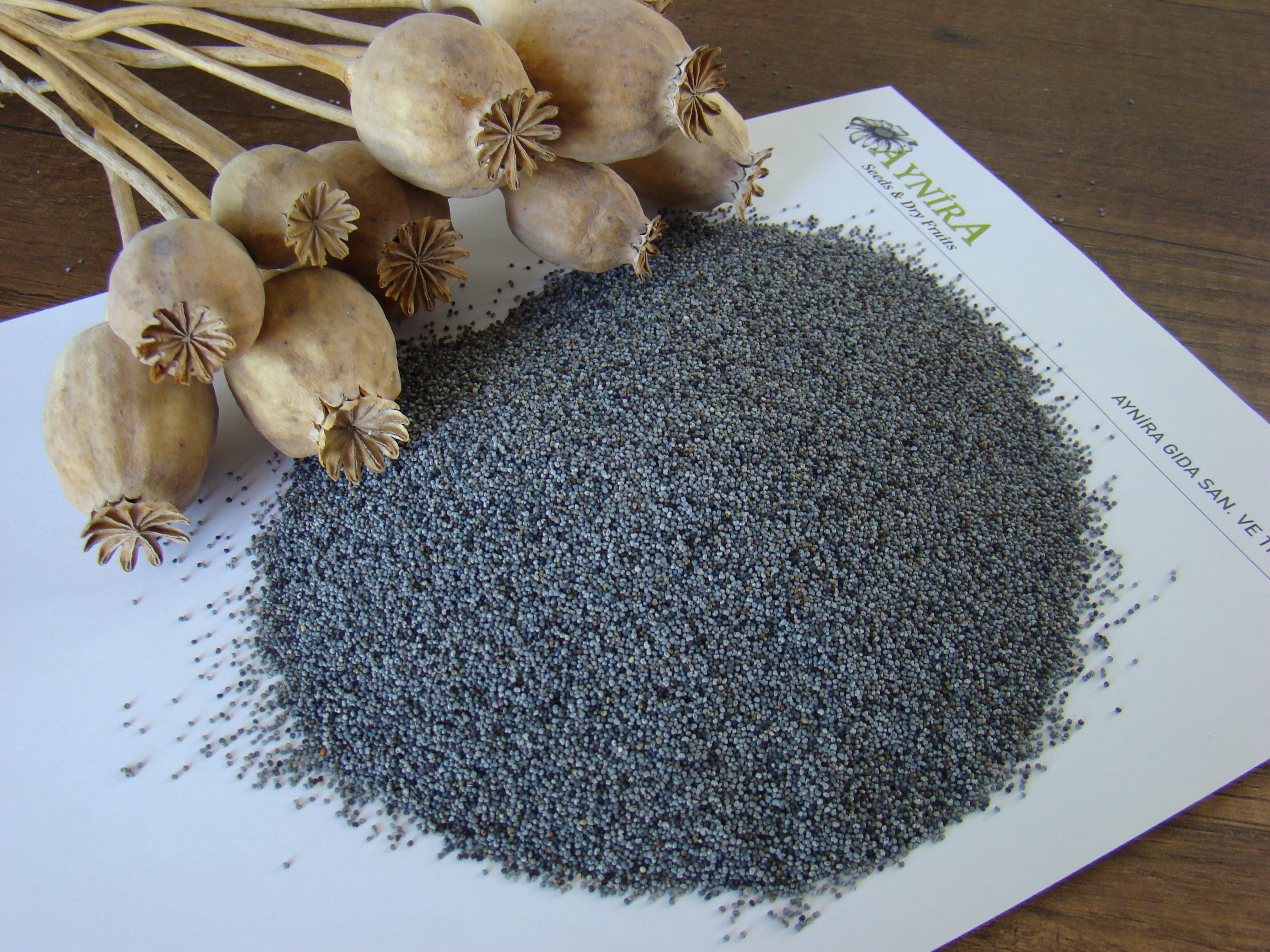 Blue Poppy Seeds